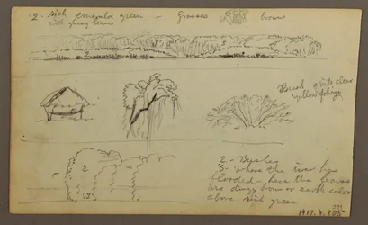 Tegning, bjergkæder "på vej ind i Guayaquil"; bagside: flodbred, botaniske skitser, muligvis 1857