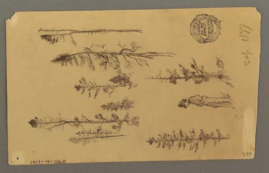 Tegning, Bjergtop, 1877