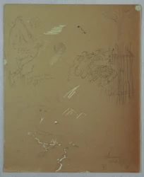 Tegning, naturstudier, Blue Mountains, Jamaica, juli 1865