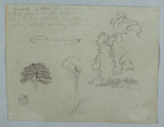 Tegning, Naturstudier fra Rio Magdalena, Colombia:  Træer, slyngplanter og en kano, maj 1853
