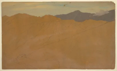 Tegning, Palmer og hustage, Ecuador, maj 1857
