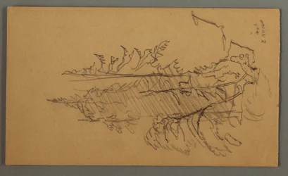 Tegning, Fyrretræer, muligvis 1868
