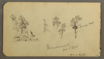 Tegning, studier af fyrretræer, 1878