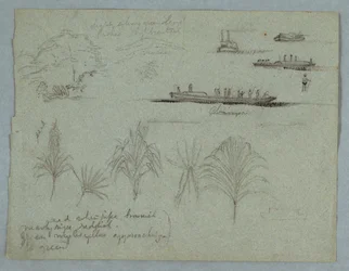 Tegning, Skitser fra Rio Magdalena, Colombia:  Planter, dampskib og en champan, 1853, sandsynligvis maj
