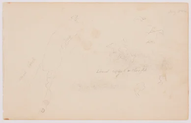 Tegning, Skitser af skyer og død birk, juli 1844