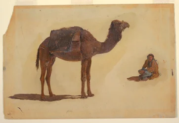 Tegning, studie af en dromedar, 1868