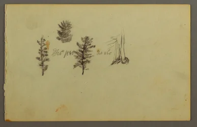 Tegning, Tre stedsegrønne planter, 1845