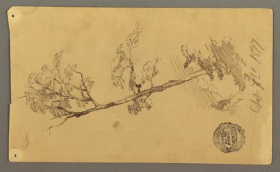 Tegning, træ, 1877