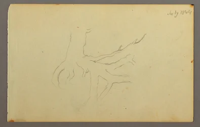Tegning, trærødder, 1844