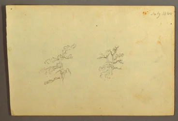 Tegning, træer, juli 1844