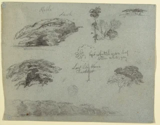 Tegning, Træer, trætoppe og en træbevokset bred, Saddleback, Maine, 1853