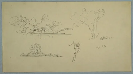Tegning, Træer, en strand med buske og træer, september 1876