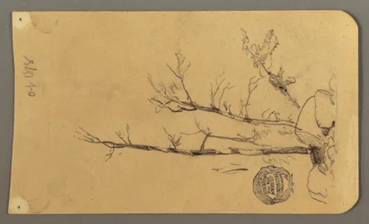 Tegning, Træer, kampesten, 1878