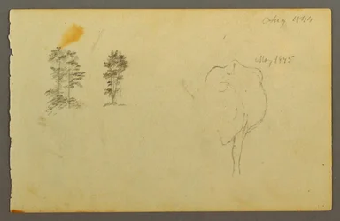 Tegning, træer, ko, 1844