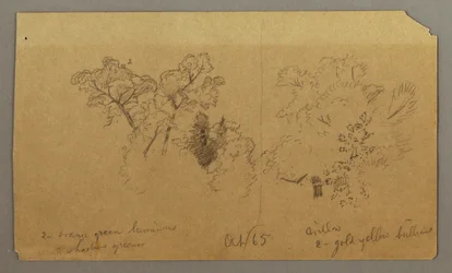 Tegning, To træstudier, oktober 1865