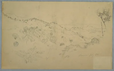 Tegning, skovklædt dal med en stor bregne og fjerne bjergkæder, Jamaica, juli 1865