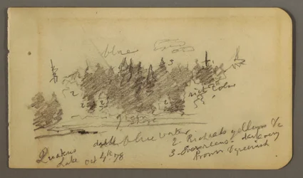 Tegning, skovklædt bred, 1878