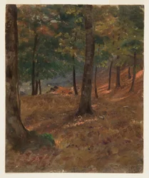 Tegning, skovbillede, 1870-80