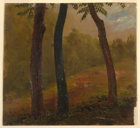 Tegning, skovbillede, Jamaica, 1865