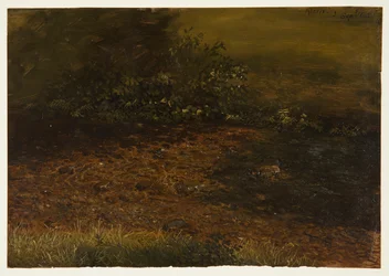 Tegning, skovbæk i Catskills, september 1848