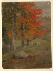 Tegning, Skov om efteråret, 1865