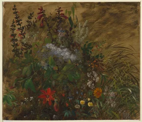 Blomster på Jamaica