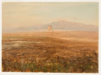 Mexicansk landskab