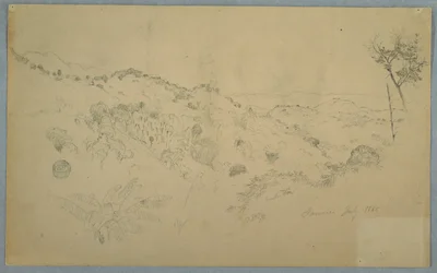 Skovklædt Vale med en stor bregne og fjerne bjergkæder, Jamaica