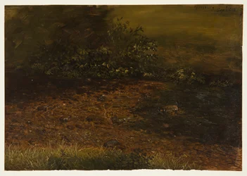 Woodland stream i Catskills