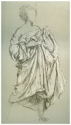 Studie af Daphnephoria, c1880-1882