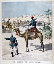 Meharist-legeme, 1894