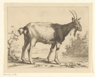 Ged Abraham Bloemaerts tegnebog (serietitel)