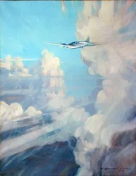 Flyvningen