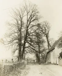 Kelmscott Manor: Vej og indgang