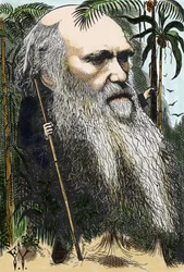 Charles DARWIN (1809-1882) karikatur af F. Waddy i "" in Once A Week" fra 1873.