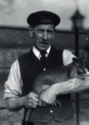 En keeper holder en wallaby, oktober 1920 (s/h-billede)