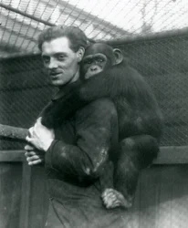 En mand bærer chimpansen Sally på ryggen, London Zoo, 1924