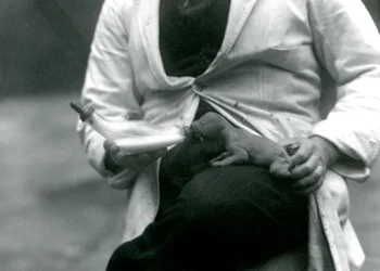 En nyfødt løveunge bliver flaskefodret af sin dyrepasser, London Zoo, 1923