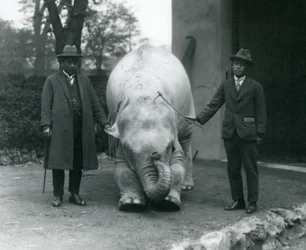 AlbinoWhite Elephant Pawah med Dr. Saw Po Min og Søn, London Zoo, maj 1926