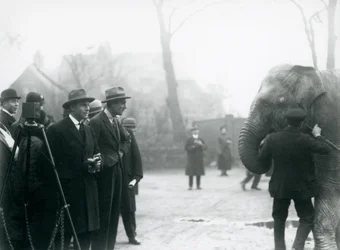 En indisk elefant, muligvis Sundermalah, der deltager i en ekstern udsendelse fra London Zoo, 1925