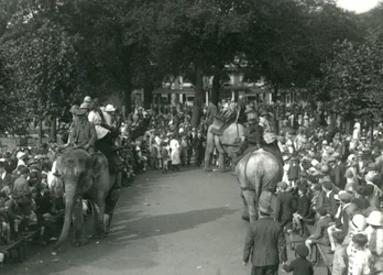 Elephant Rides, med tre asiatiske elefanter set af skarer af tilskuere i London Zoo i august 1926 (s/h foto)