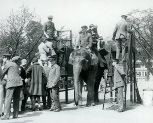 Besøgende står i kø til en elefanttur, mens andre stiger på med hjælp fra fem dyrepassere, London Zoo, 1927