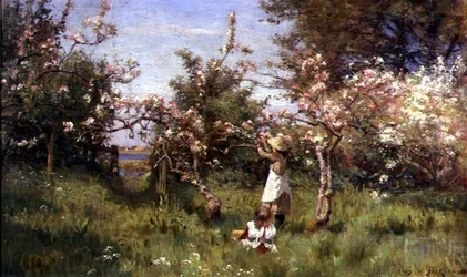 Indsamling af Blossom
