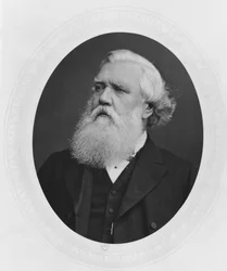 Portræt af Henry Layard, ca. 1880