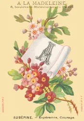 A: Aubepine - Esperance, Courage