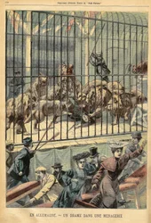 En tæmmer bliver fortæret af sine løver i et menageri i Dessau, Tyskland. Indgravering i "" Le Petite Parisien"", den 27/12/1903.