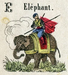Abecedary. Bogstav E som Elephant. Lille encyklopædisk alfabet, populær serie. Epinal billeddannelse, slutningen af det 19. århundrede