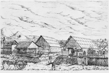 Album af Isle of Pines, Distribution af forsyninger, 1878-79
