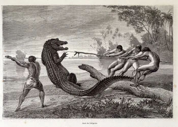 Alligator Hunt, Brasilien, "" Jorden rundt"" 2. uge 1874.
