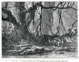 En elektrisk telegraflinje i en amerikansk skov, ca. 1870 (gravering)